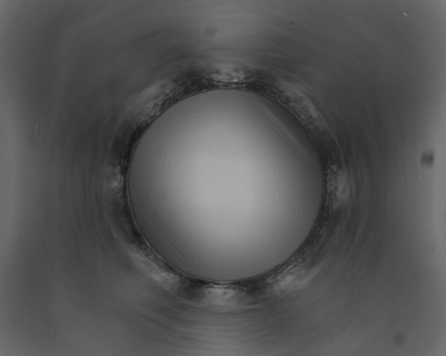 X0000090910614200708271006