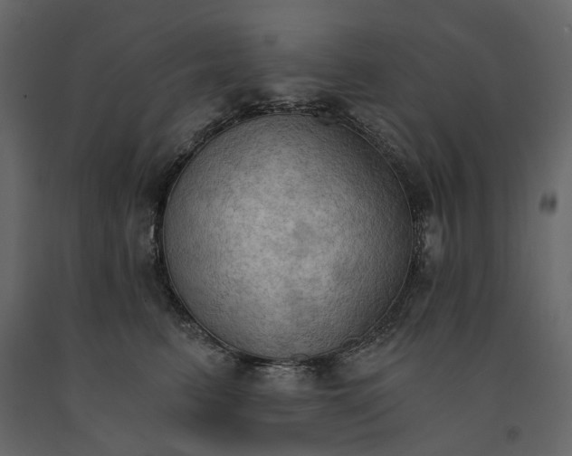 X0000090910615200708271006