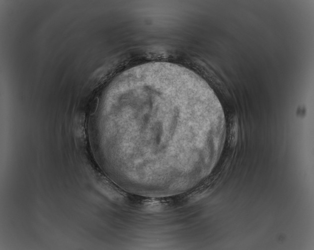 X0000090910616200708271006