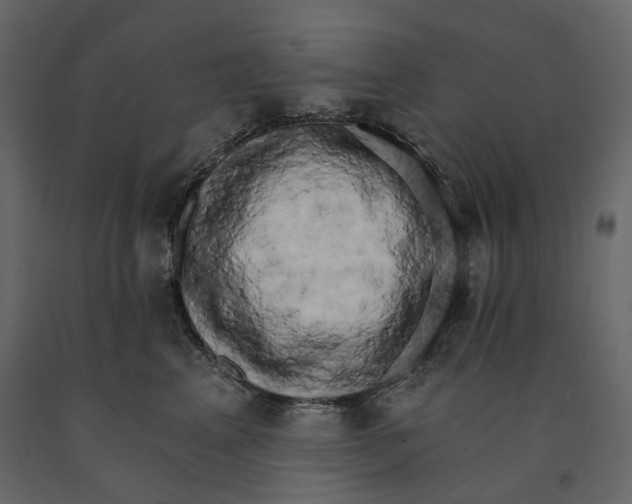 X0000090910617200708271006