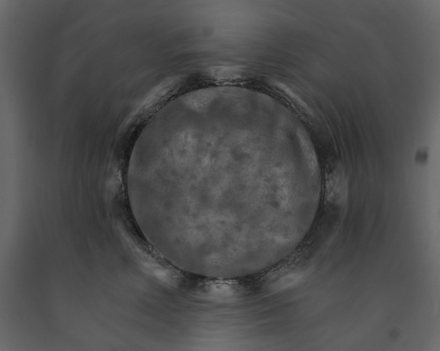 X0000090910618200708271006