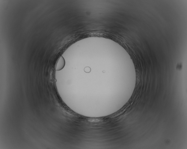 X0000090910619200708271006