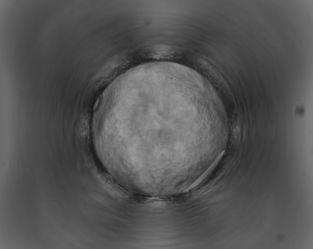 X0000090910620200708271006