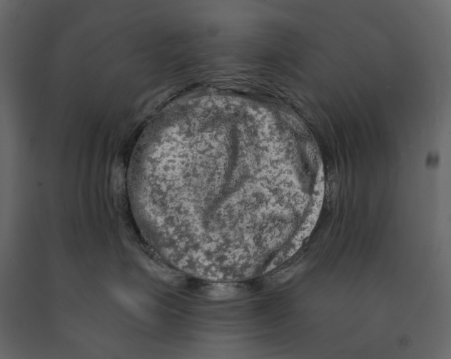 X0000090910623200708271006