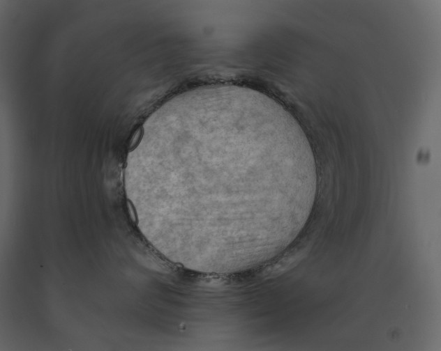 X0000090910624200708271006