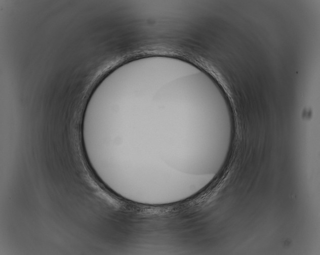 X0000090910625200708271005