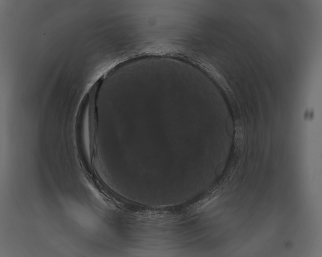 X0000090910626200708271005