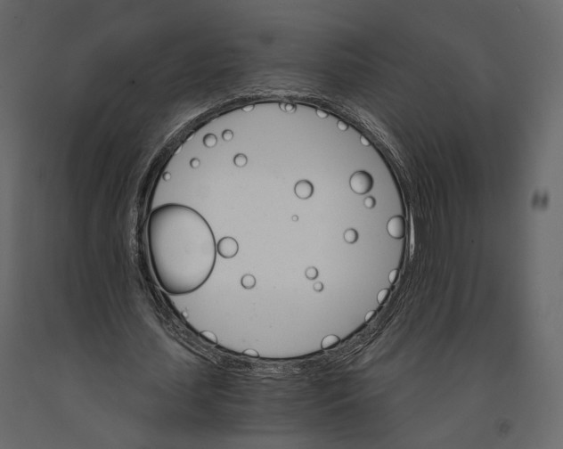 X0000090910627200708271005