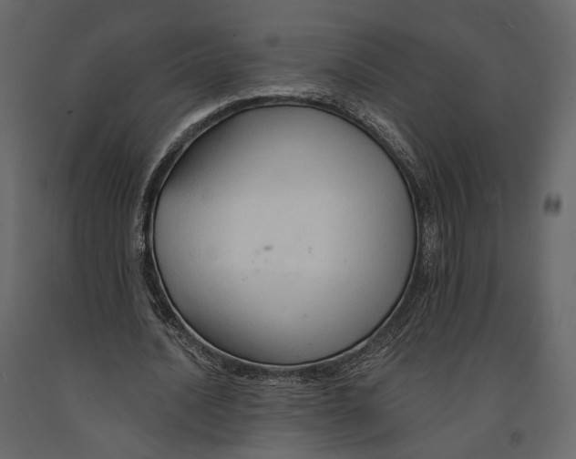 X0000090910628200708271005