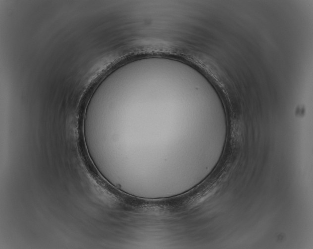 X0000090910629200708271005