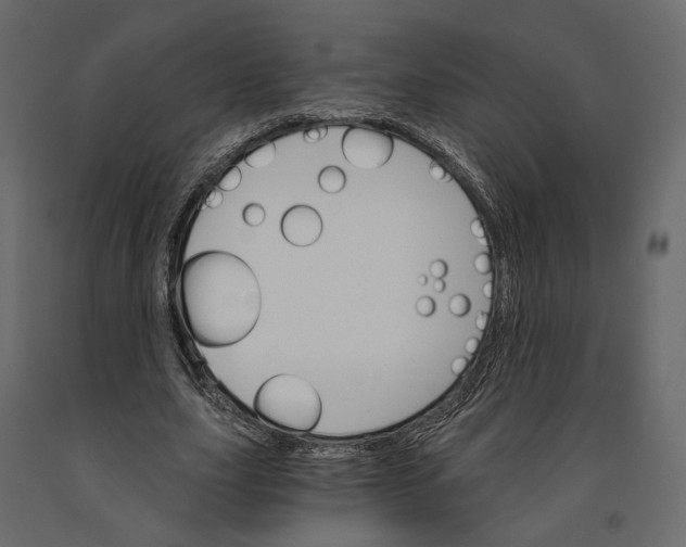 X0000090910631200708271005