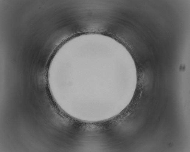 X0000090910632200708271005