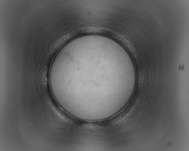 X0000090910633200708271005