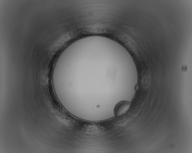 X0000090910635200708271005