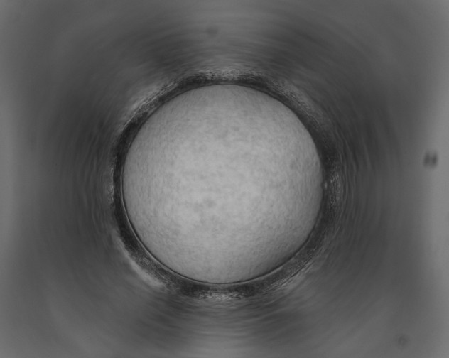 X0000090910638200708271005