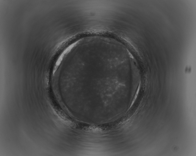 X0000090910640200708271005