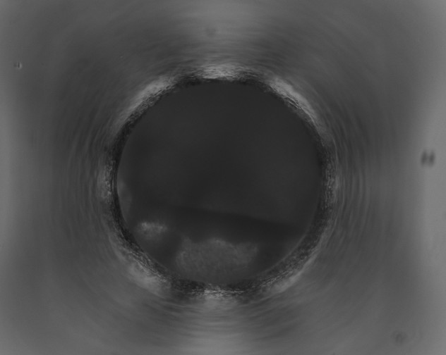 X0000090910641200708271005