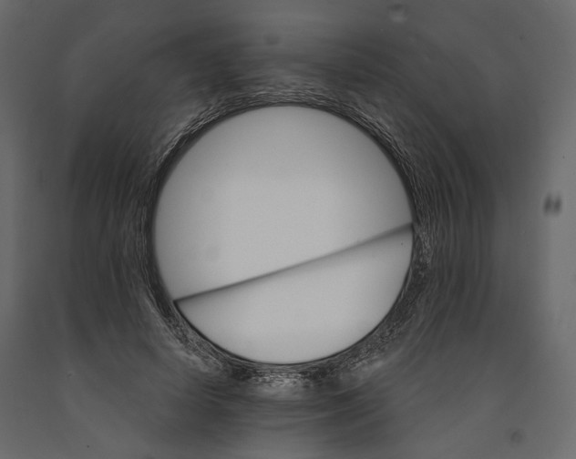 X0000090910642200708271005