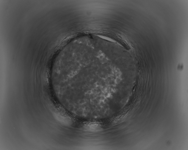 X0000090910643200708271005