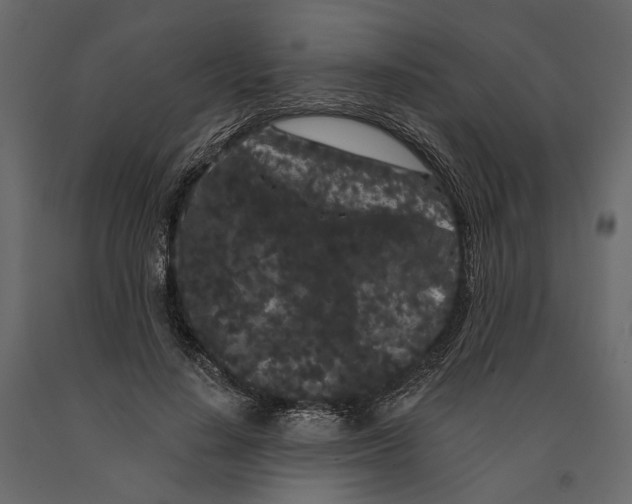 X0000090910644200708271005