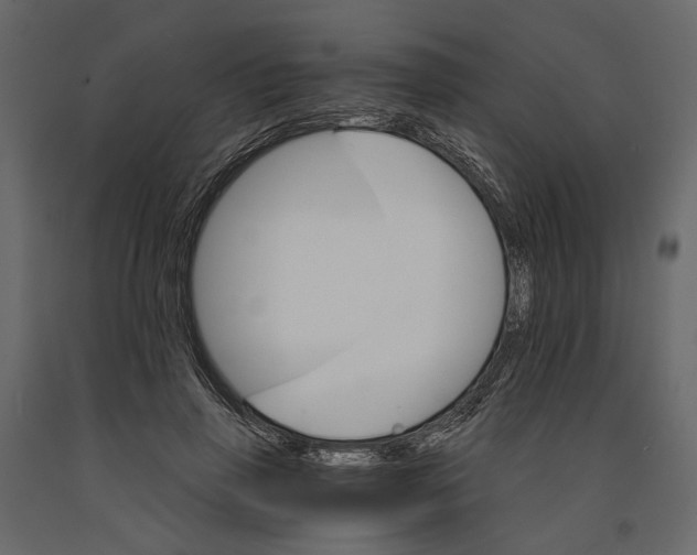 X0000090910645200708271005