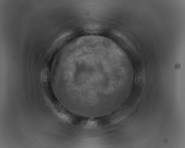 X0000090910647200708271005