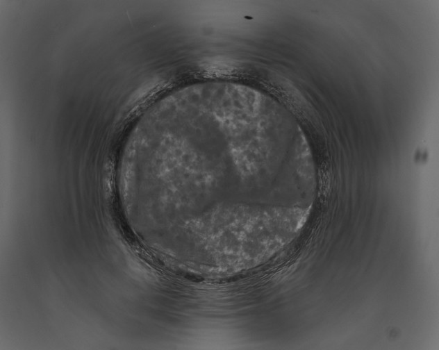 X0000090910648200708271005