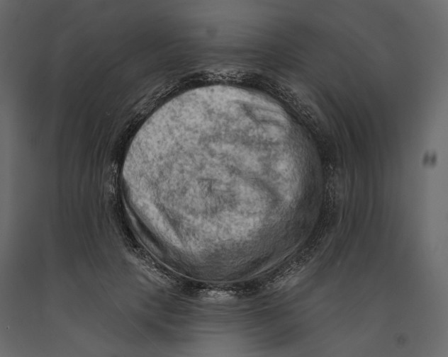 X0000090910649200708271005