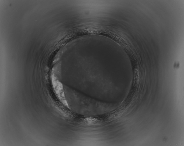 X0000090910650200708271005