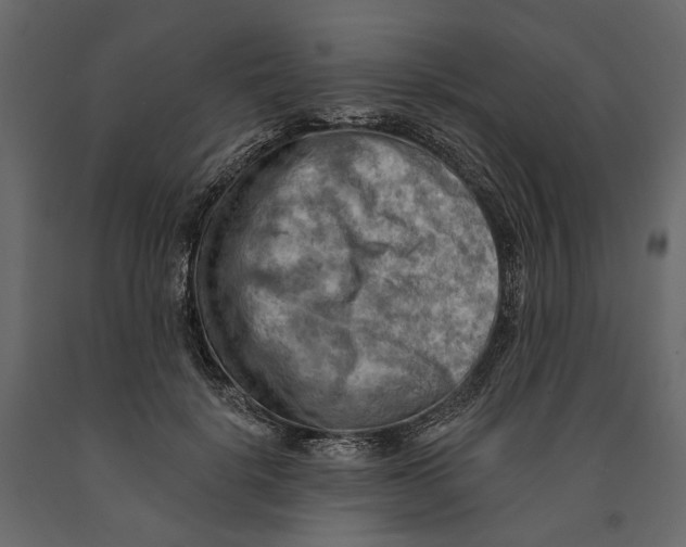 X0000090910652200708271005