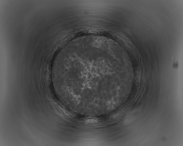 X0000090910653200708271005