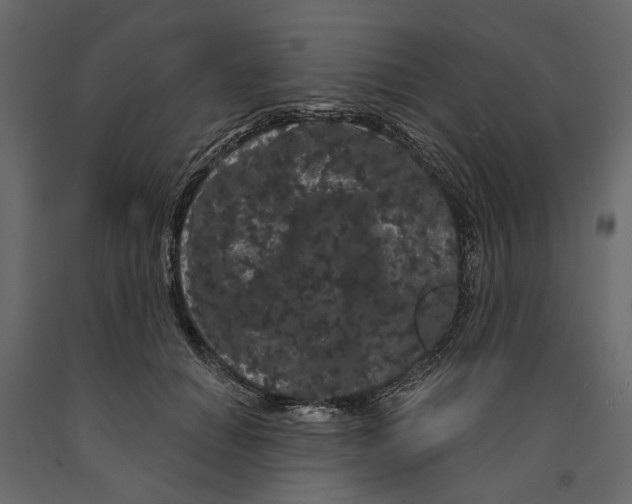 X0000090910654200708271005