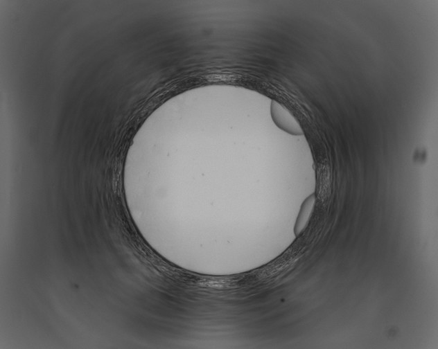 X0000090910655200708271005