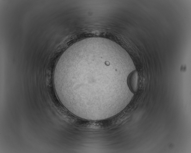 X0000090910656200708271005