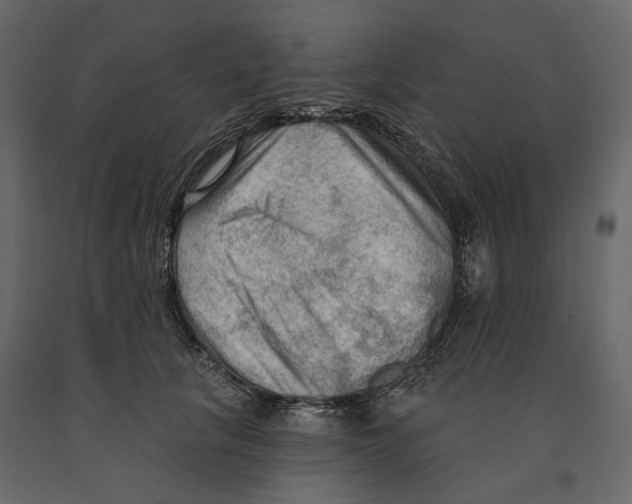 X0000090910657200708271005