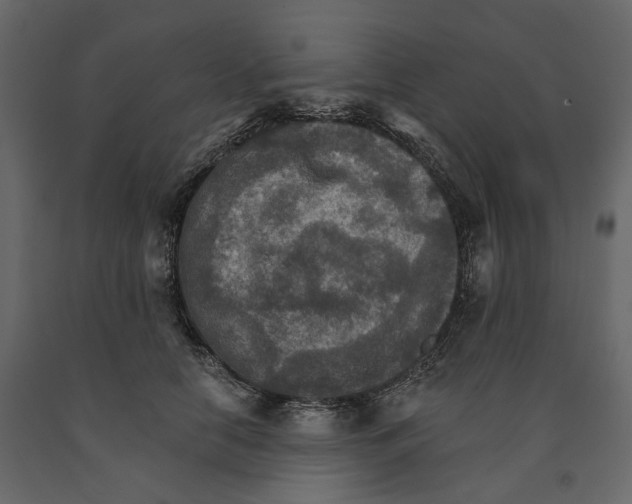 X0000090910658200708271005