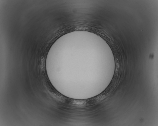 X0000090910659200708271005