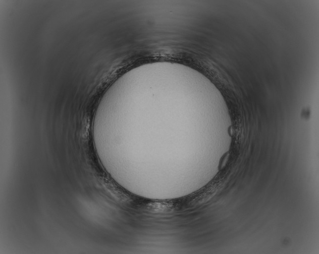 X0000090910660200708271005