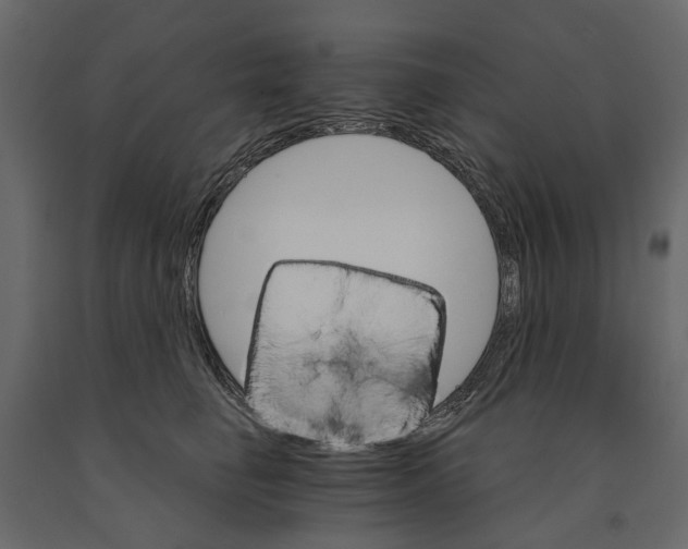 X0000090910662200708271005