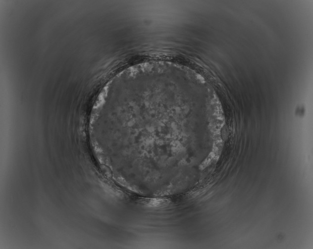 X0000090910663200708271005