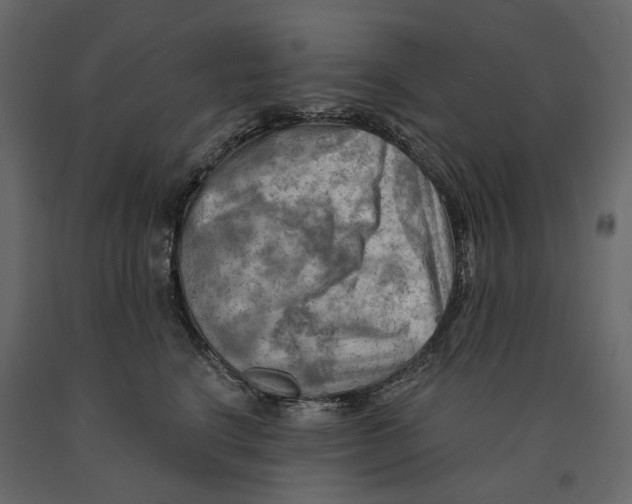 X0000090910664200708271005