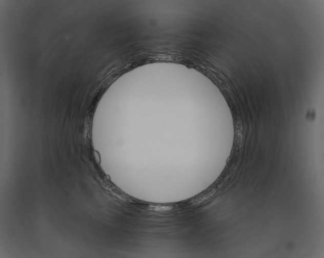 X0000090910665200708271006