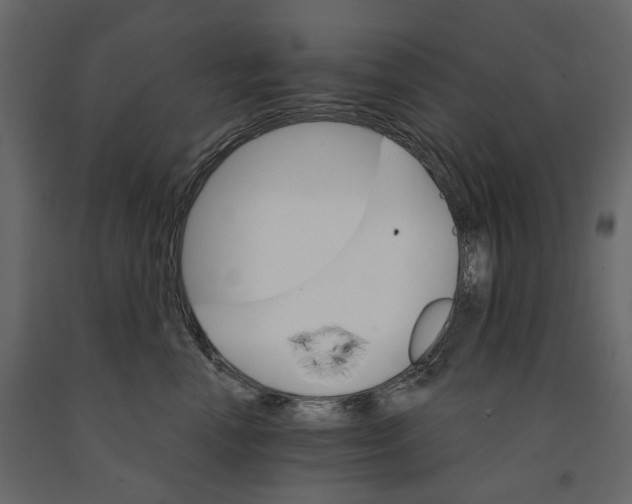 X0000090910666200708271006