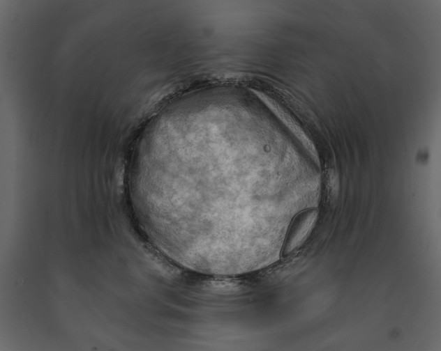 X0000090910668200708271006