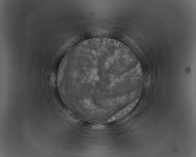 X0000090910669200708271006