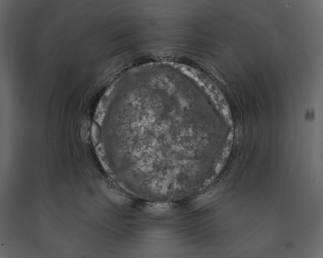 X0000090910671200708271006