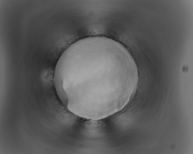 X0000090910672200708271006