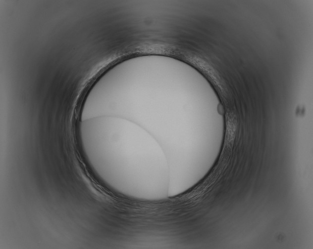 X0000090910674200708271005