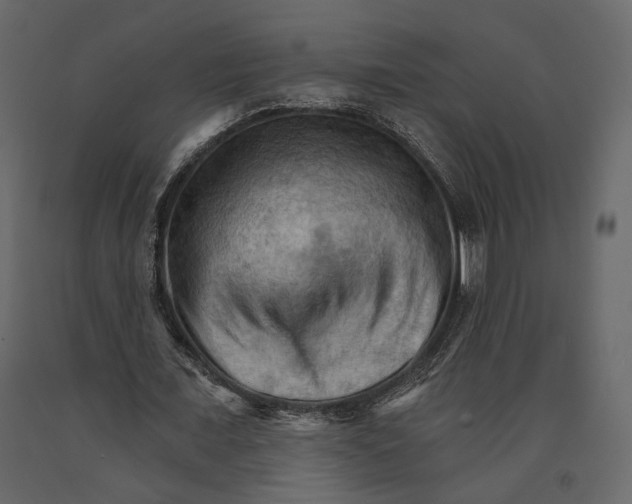 X0000090910675200708271005