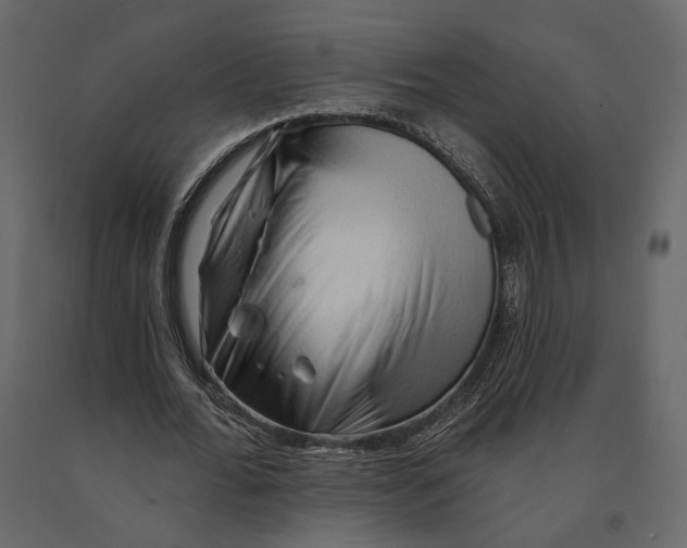 X0000090910676200708271005